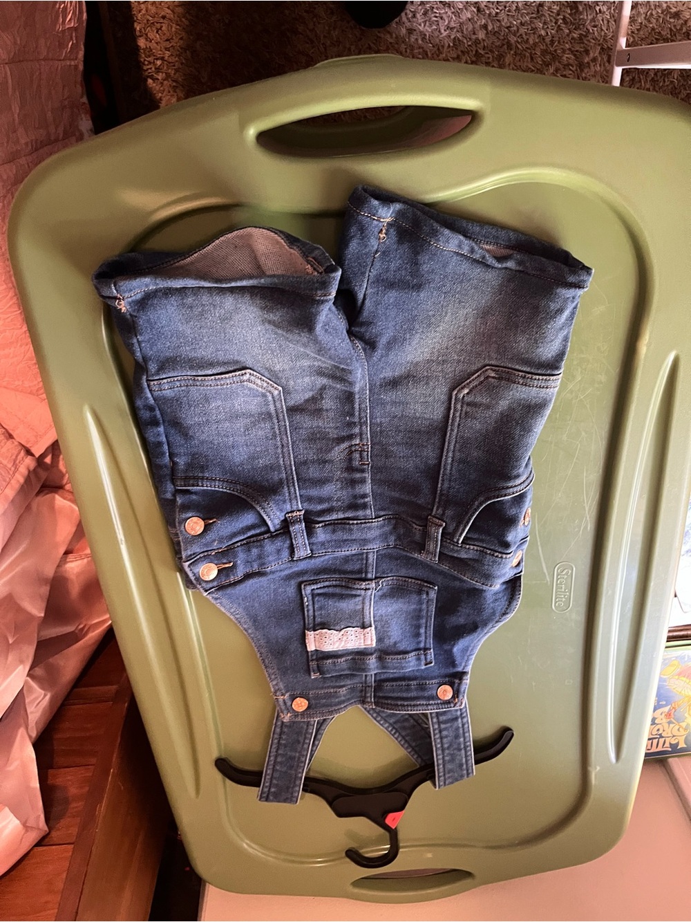BCBG Blue Denim Kids Overalls